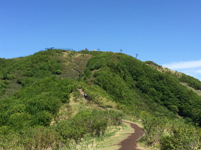 rinkanslide07.jpg