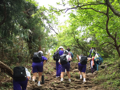 rinkanslide03.jpg