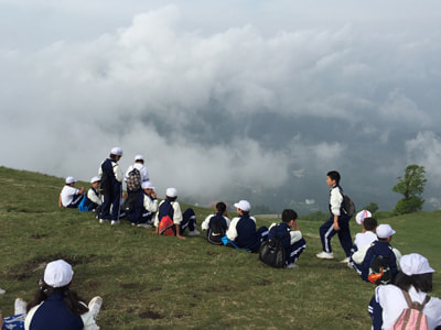 rinkanslide05.jpg