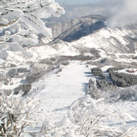 gelande1024x768.jpg